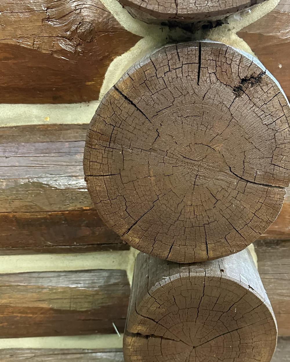 Fresh hand-applied chinking lines between stacked logs on a log home corner in Idaho
