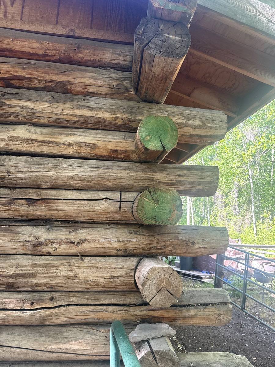 Weathered round log ends at the corner of a log barn, with deep checks running along the logs