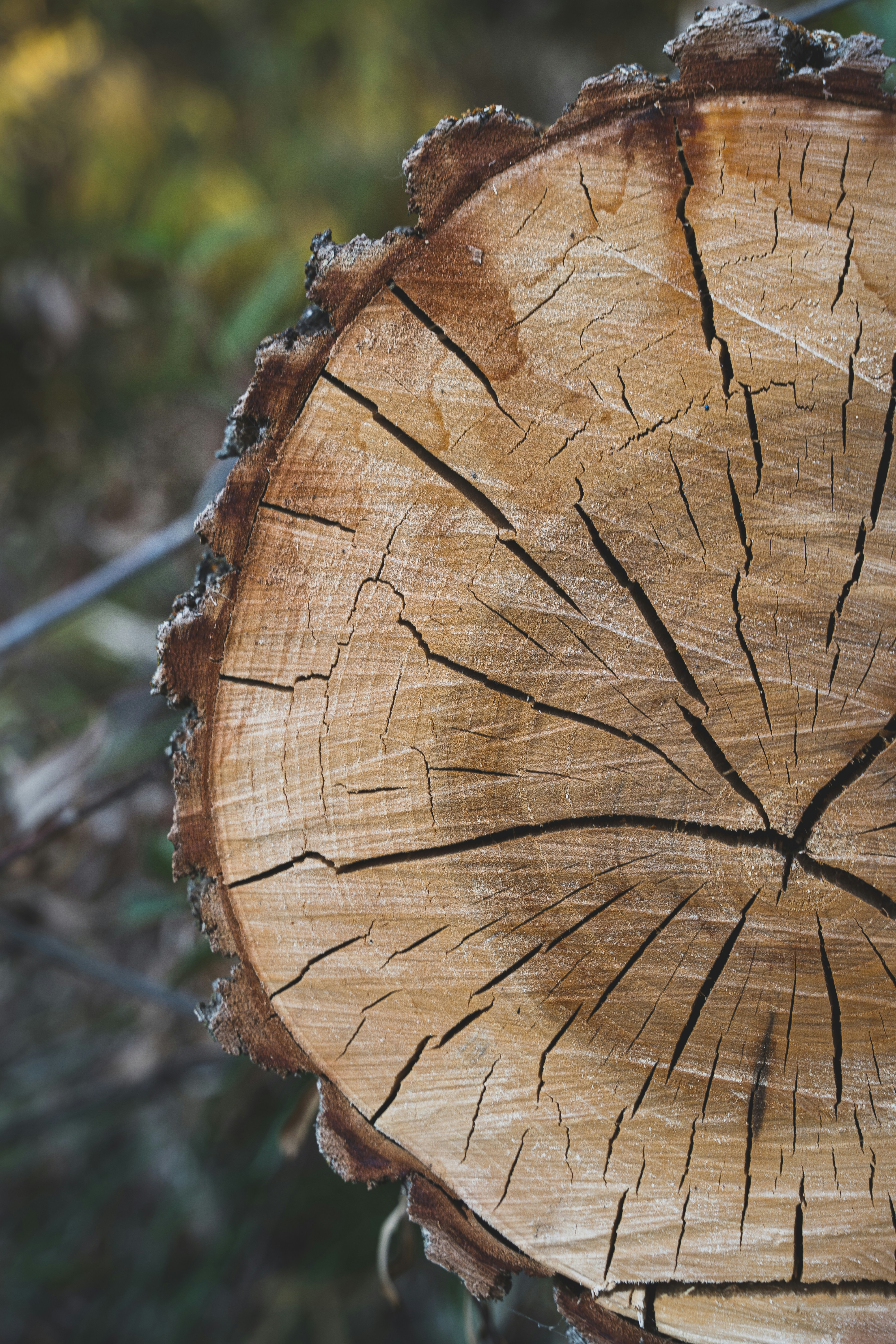 Custom cut lumber milling — Chase Construction Idaho