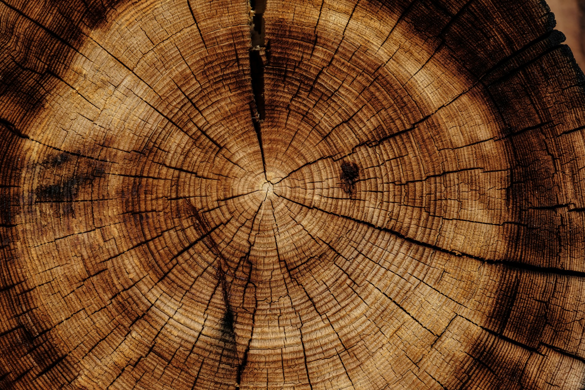 Log home exterior finish detail — Chase Construction